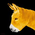 PTIT-ANE-JAUNE PTIT ANE ROUGE donkey Showroom - Inkjet on plexi, limited editions, numbered and signed. Wildlife painting Art and decoration. Click to select an image, organise your own set, order from the painter on line